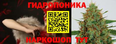 ПСИЛОЦИБИНОВЫЕ ГРИБЫ Норильск